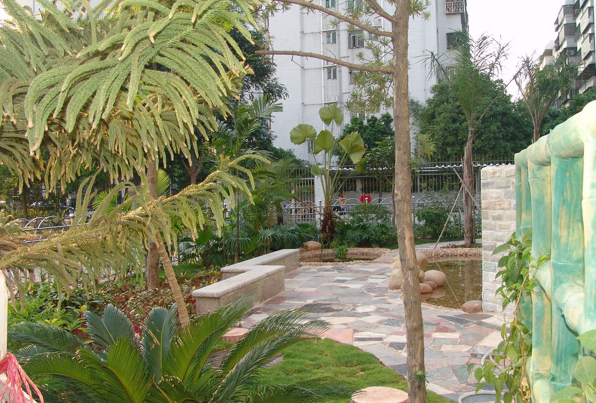 深圳百年名校扩建,校长曾执掌湖北最好的小学!周边房价7w