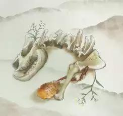 那些让你意想不到的中药名称,容易混淆的中药名称