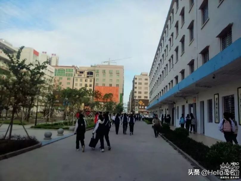 搴勫北涓,婊ㄦ捣鏂板尯搴勫北涓