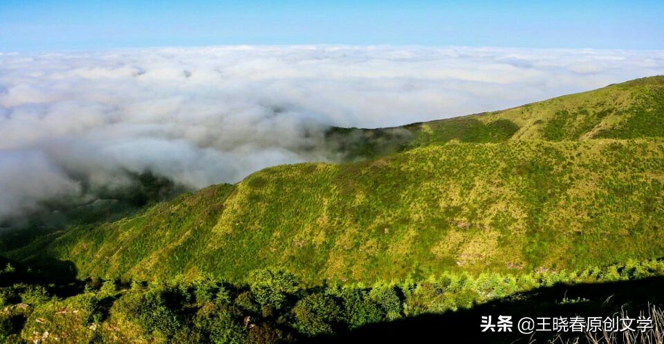 保持初心与美好的歌曲,美好的初心和微笑