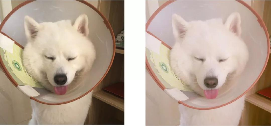 燃爆朋友圈的图片,朋友圈炫酷视频用什么软件