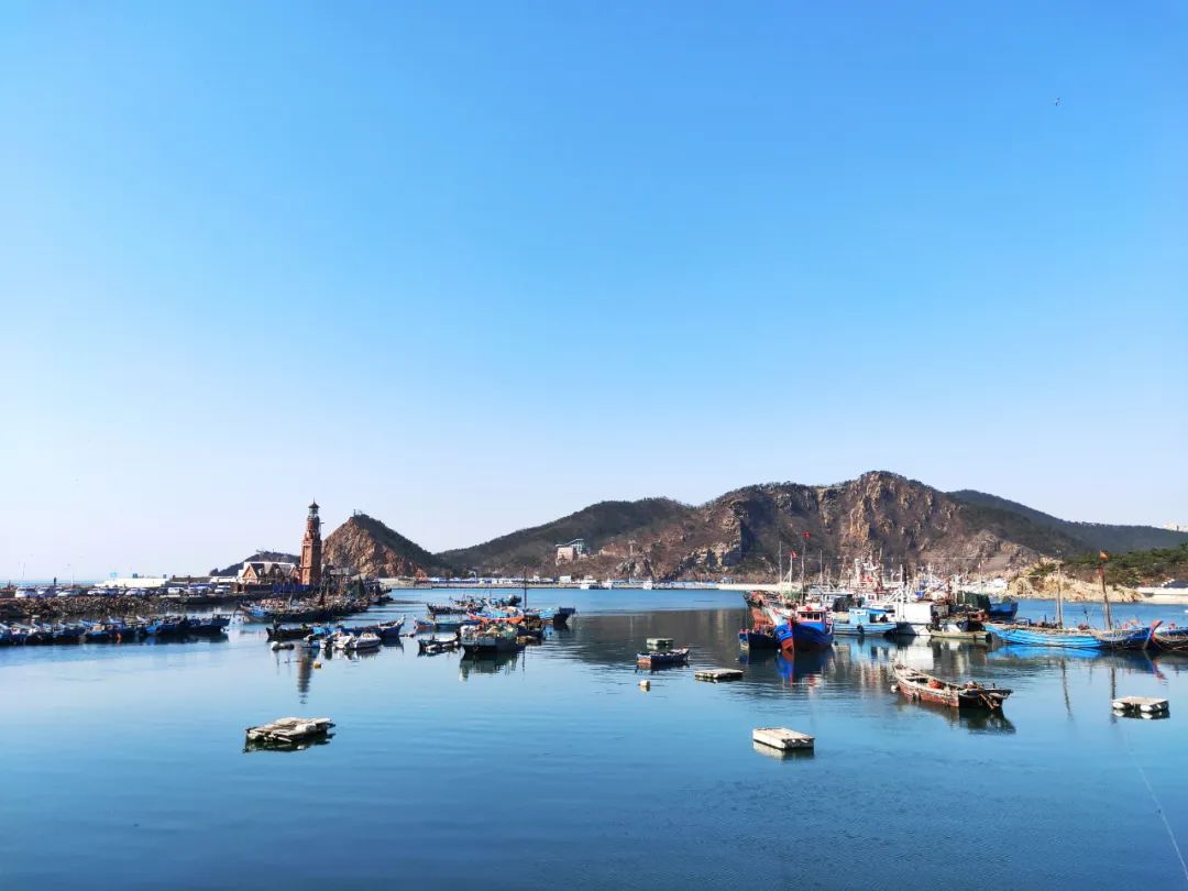 2022春节大连本命年免费景点,大连免费景点排行榜前十名