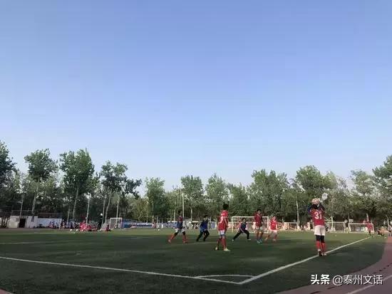 30万足球老师的生存状况调查