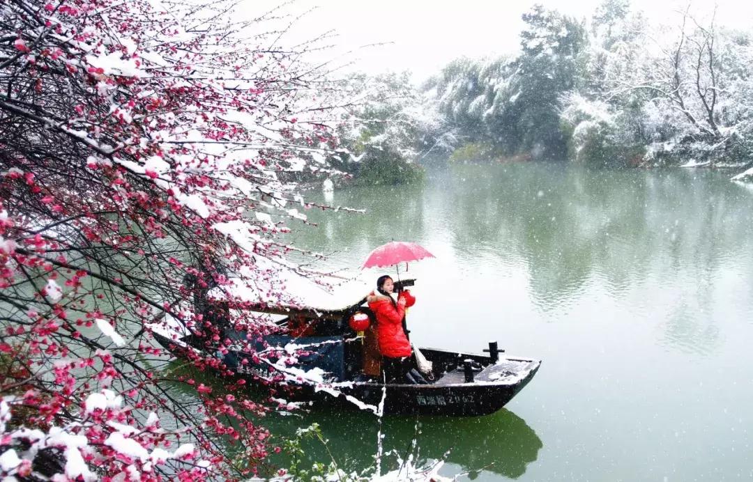 香雪海什么时候开放,香雪海惊艳了多少人