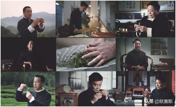 深度分析白茶市场,白茶品牌化发展道路要怎么走