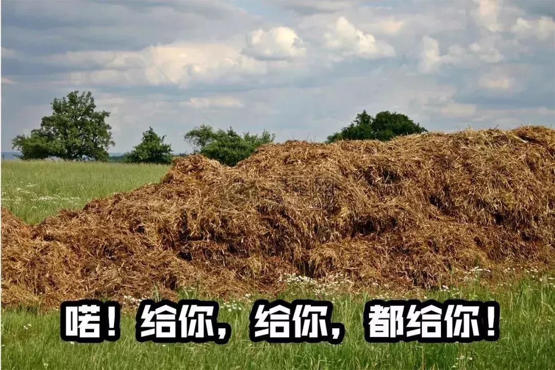 从羞于启齿到大老爷们都抢着用，姨妈巾革新经历了哪些流言蜚语？