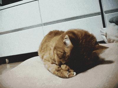 软骨素对膝盖疼有帮助吗,软骨素对全身疼痛有用吗