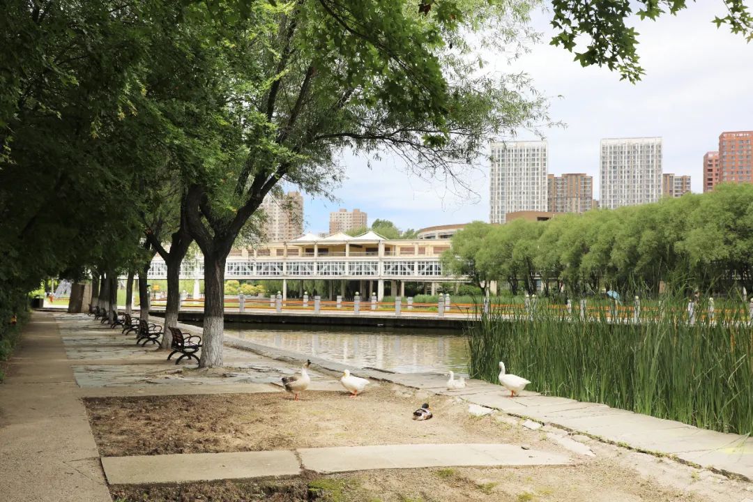 母校前面的广场是什么广场,母校校门设置