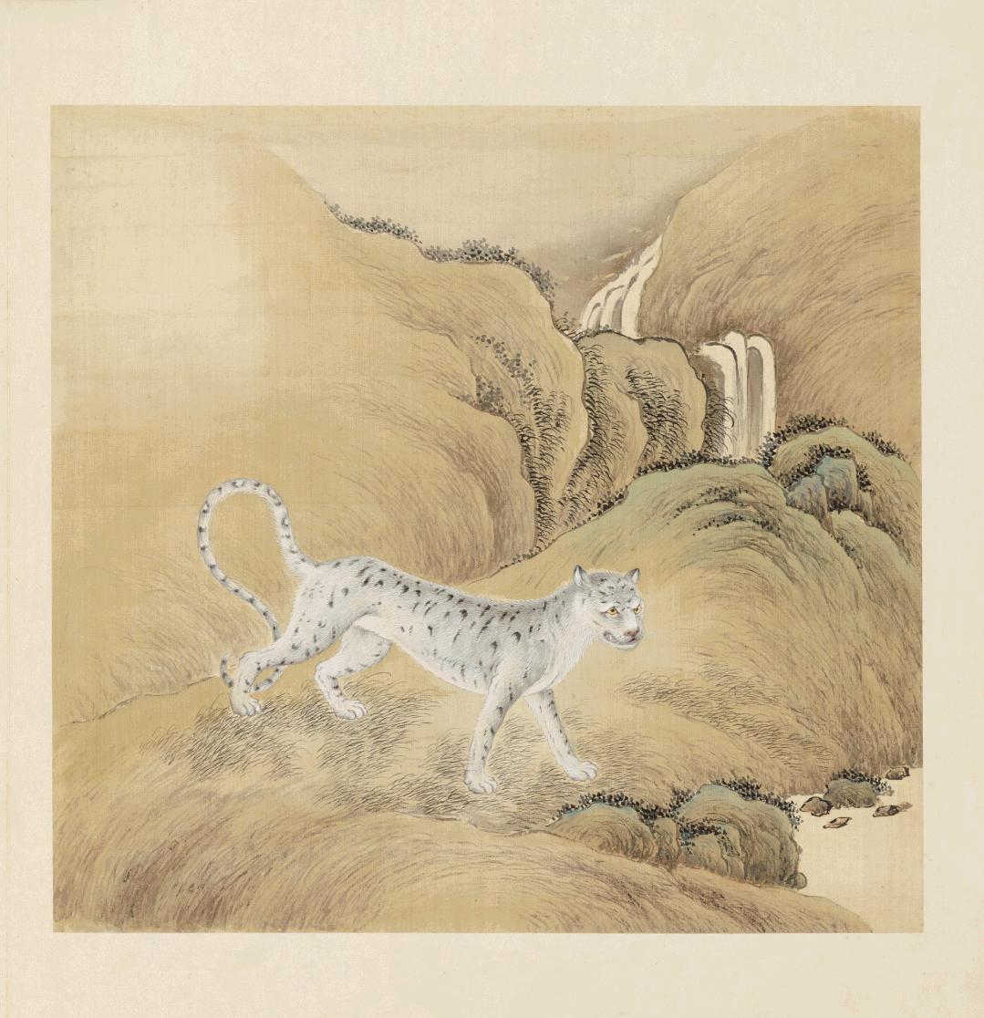 世界那么大我想去看看读书笔记,世界那么大我想去看看古诗