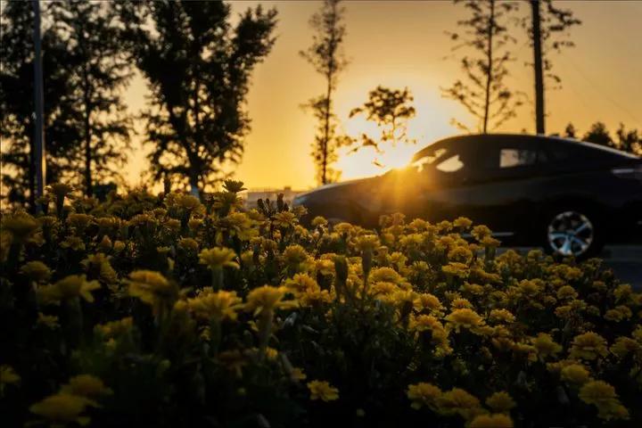 江苏昆山杜克大学图片,昆山杜克大学堪比985