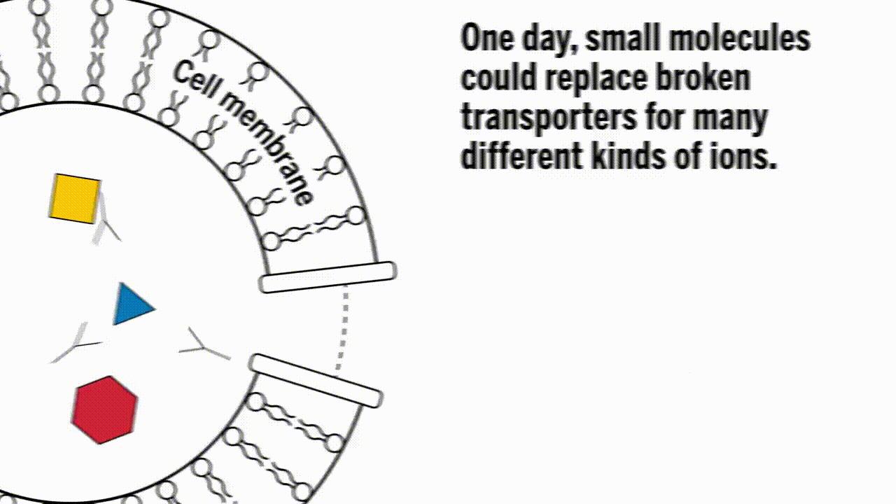 最新补铁剂,补铁剂中的铁元素检验