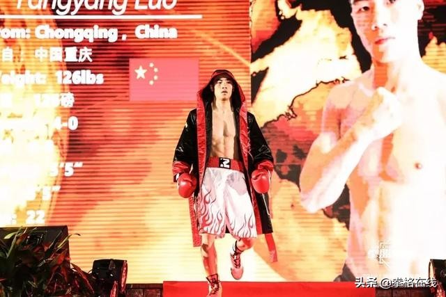 wba中国拳王金腰带,中国区首条wbc金腰带