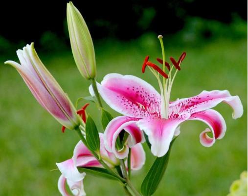 今生有约同心印爱海新花并蒂开—管浩男、曹丛新婚诗词23首