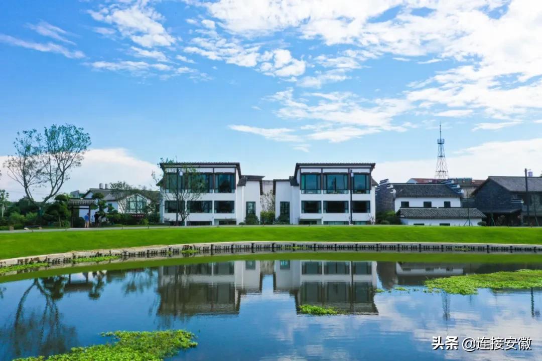 安徽合肥免费旅游攻略,合肥春节免费游怎么预约