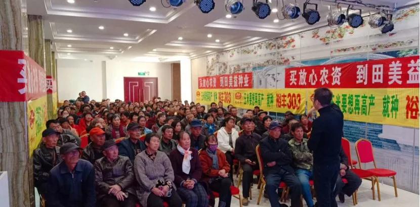 龙头大单品裕丰303的制胜之路,从优秀到卓越的路径图