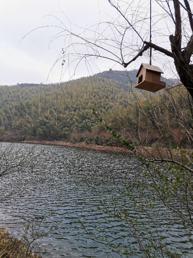 常州天目湖旅游，先南山竹海，后入住涵田半岛随笔：涵田半岛印记