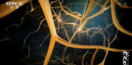 在学习强国看电视剧,能在学习强国看的电视剧