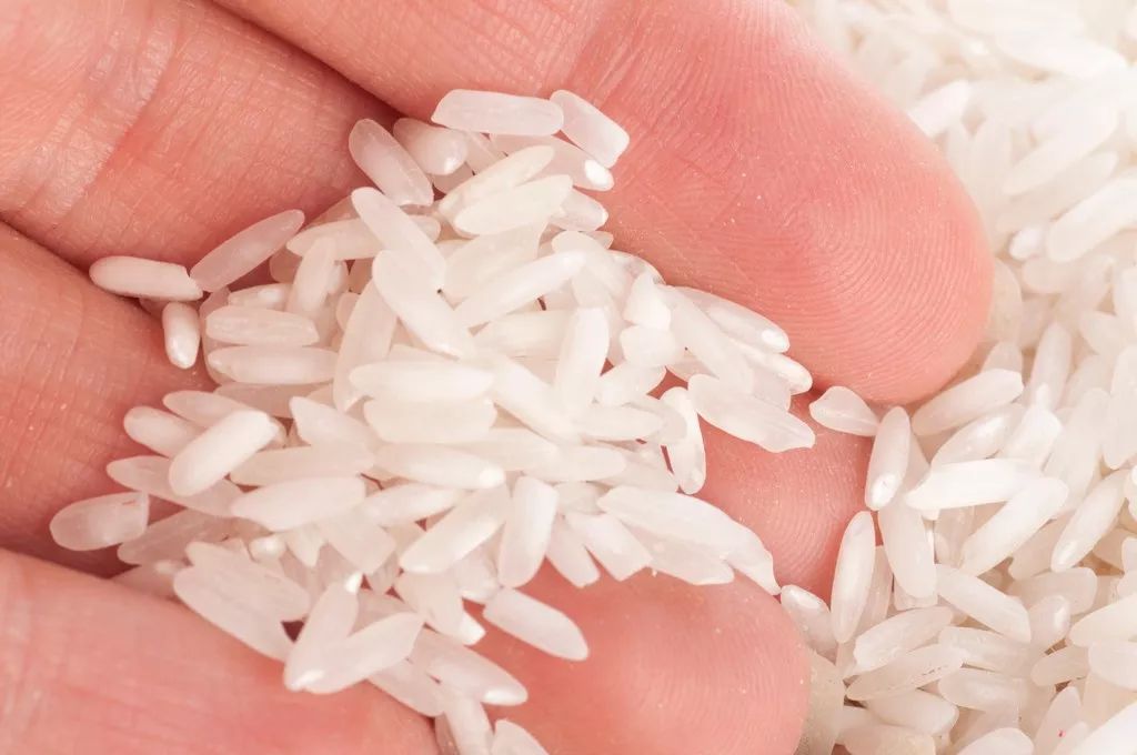 正宗五常大米黄钻稻花香米,大米推荐好吃的五常大米