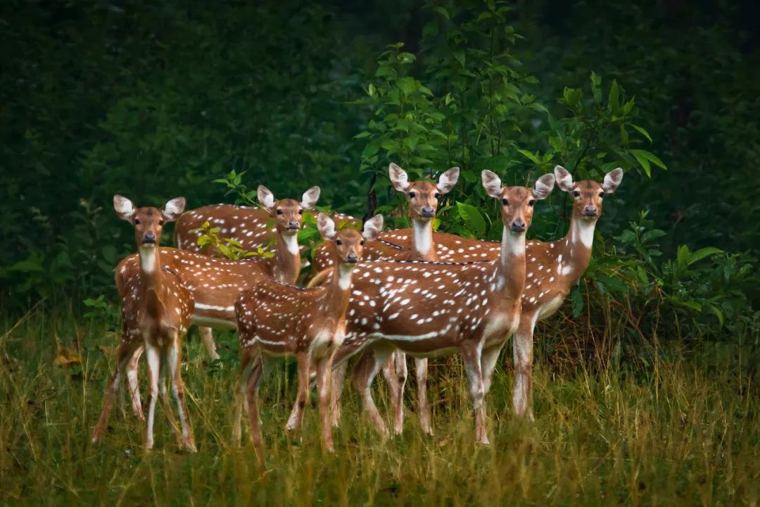 香港第14届全国摄影艺术展,第29届全国摄影艺术展览获奖名单
