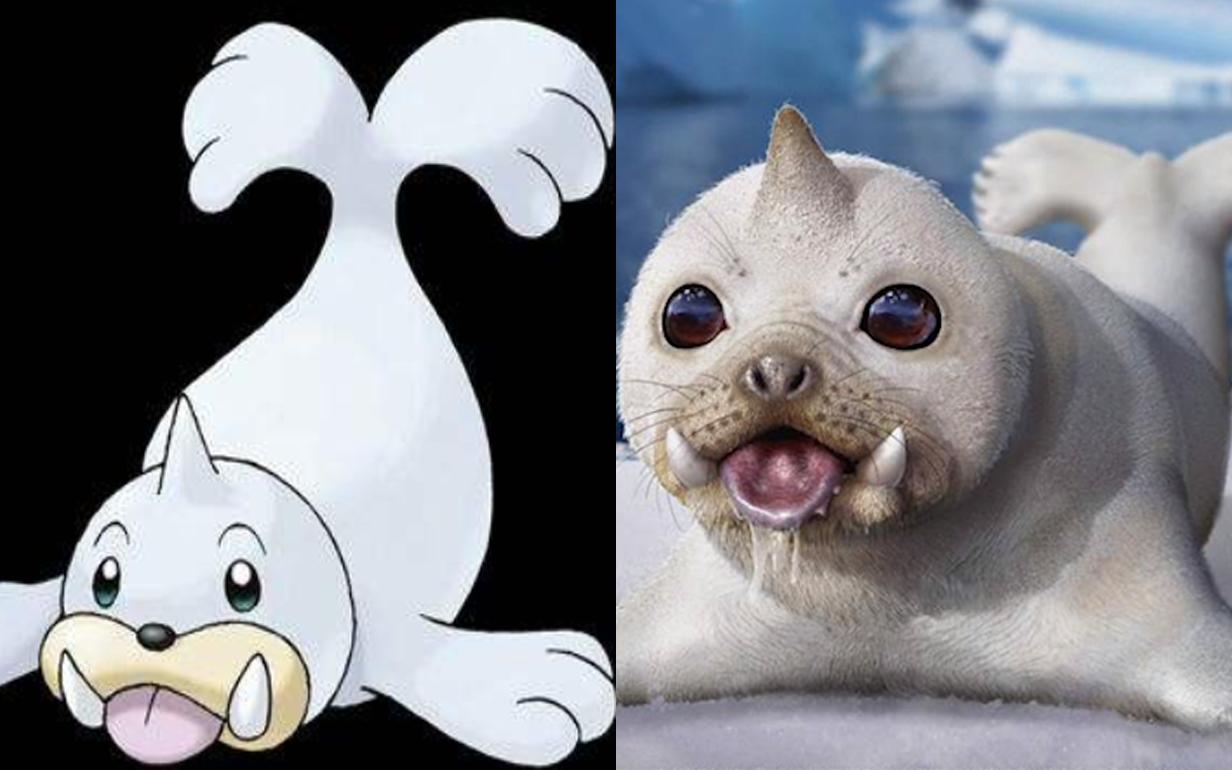 现实版神奇宝贝！一个比一个可爱，三地鼠真是逗了！