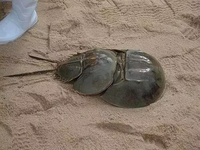 中秋你们都回家了吗,中秋都回家