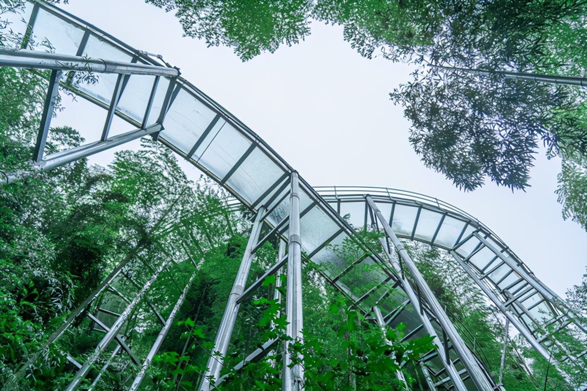 安吉哪个漂流最适合带孩子玩,安吉漂流亲子游攻略
