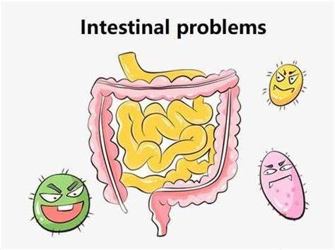 慢性结肠炎拉肚子吃什么药效果好,拉肚子反反复复的能自愈吗
