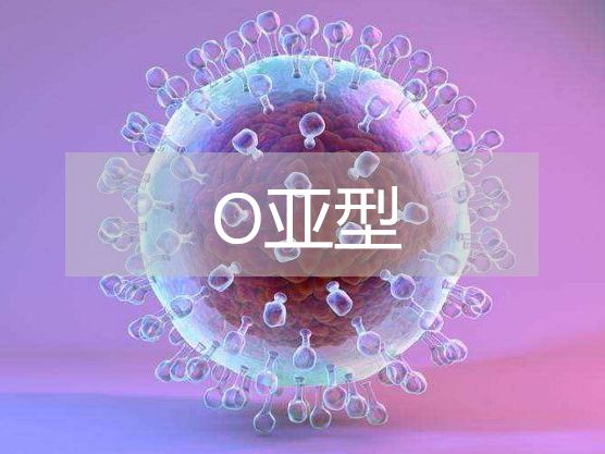 香港快速检测平台,香港快测平台