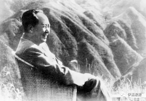 近体诗分为什么,近体诗详解