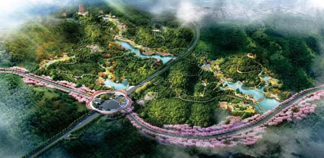 乐山市生态文明,庆祝新中国成立70周年特辑宣讲