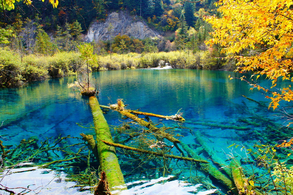 云南酒有什么好酒,云南的烟四川的酒