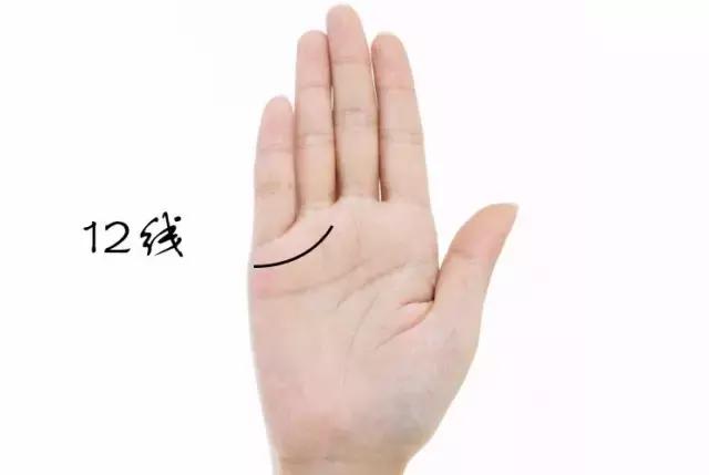 看看你的掌纹,看看你的手相