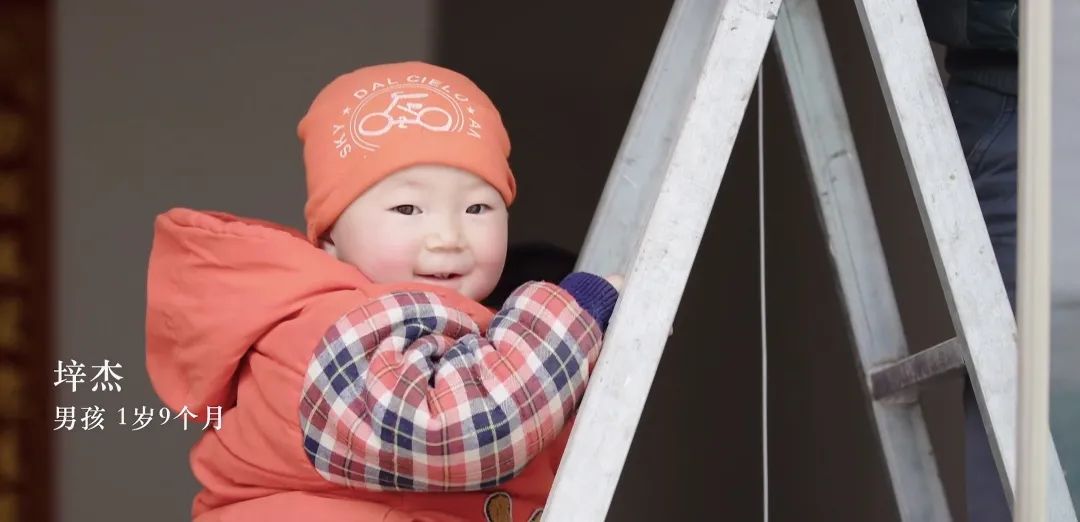 一部很少人看过的影片,最适合孩子看的6部经典纪录片