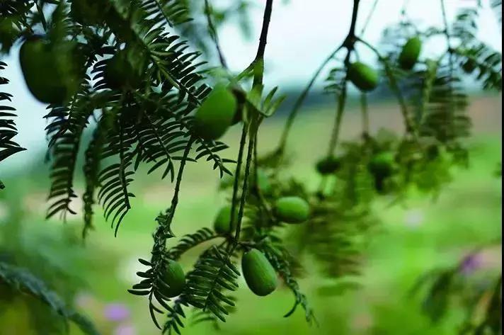 钱江新城球场,杭州钱江世纪城开建600米地标建筑