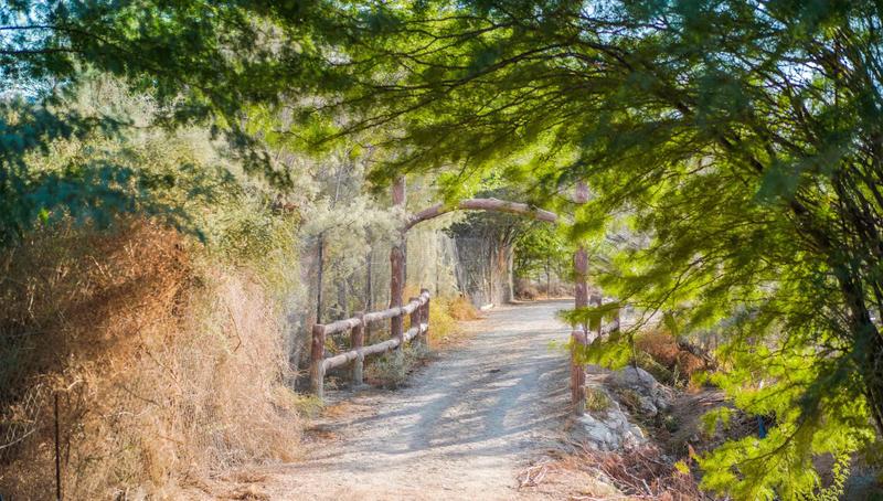 约旦到中国坐飞机需多少小时,约旦到埃及要飞几小时