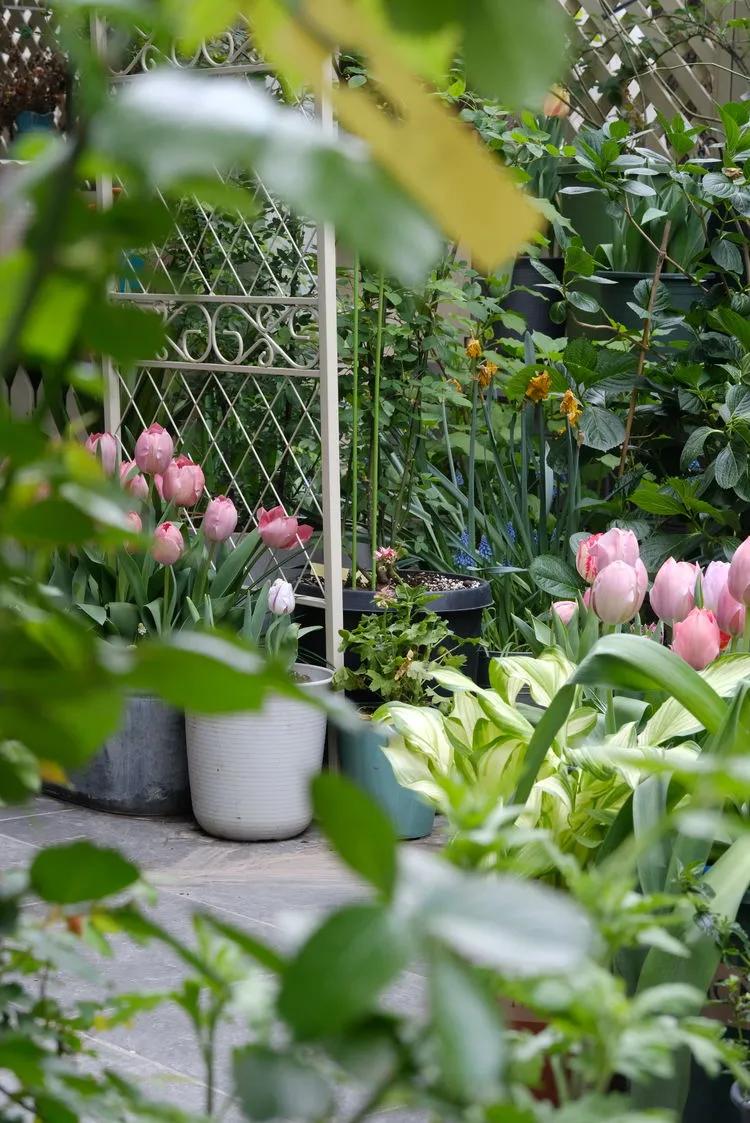 三年前买了套绿地110平三房130万,三年前耗资百万打造小院出售