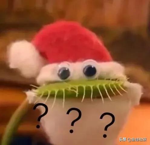 不懂就问的感受和体会,刚开始吸毒的人有什么反应