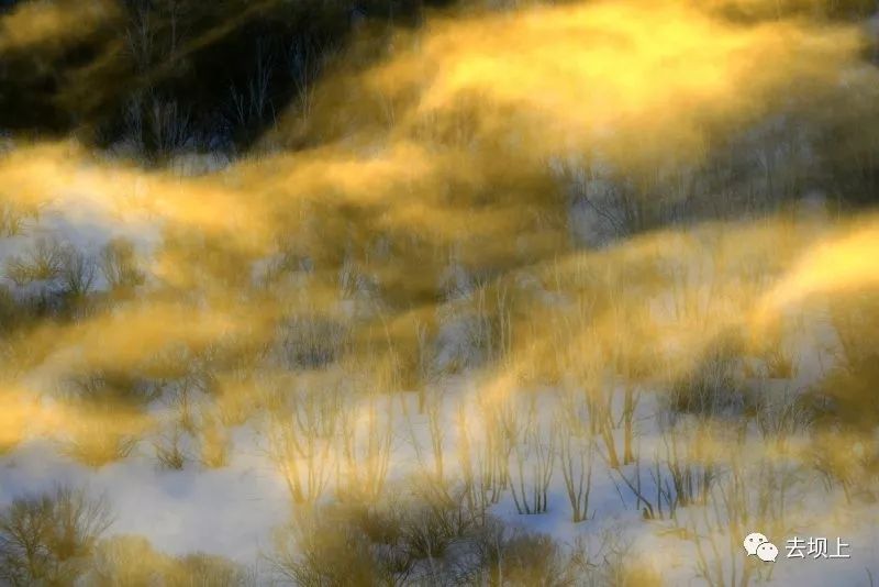 坝上摄影攻略,坝上夏季摄影