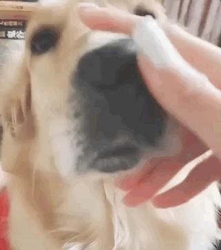 甭管啥就盘它,甭管什么东西盘它原版