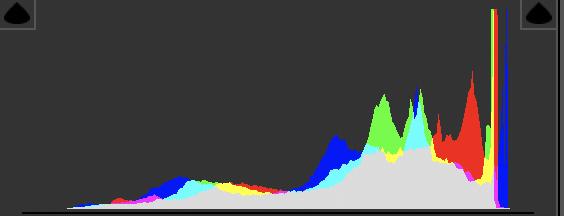 如何零基础自学摄影,如何系统地自学摄影后期