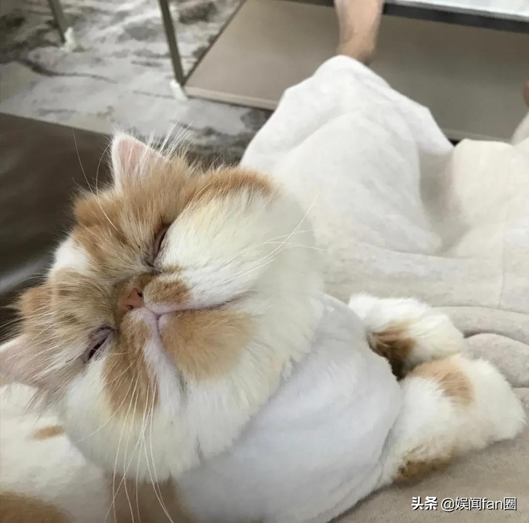 鹿晗关晓彤怎么认识的,热巴鹿晗什么时候认识