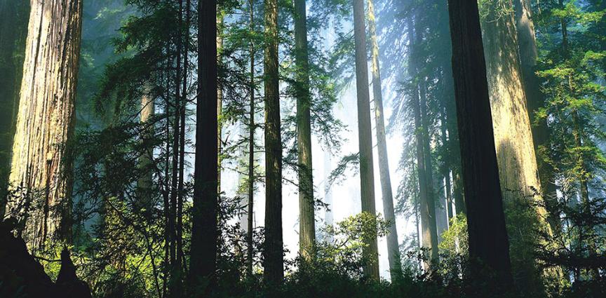 南阳一景区名字，两县同用，后开发者虽然不地道，但很受欢迎