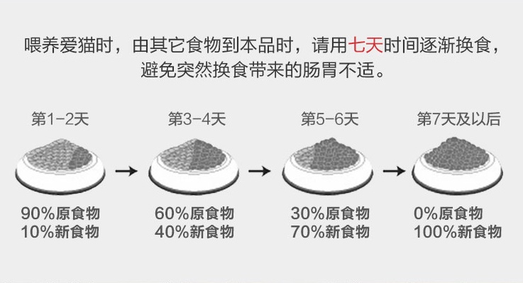 猫咪呕吐白色泡沫拉稀怎么回事,成年猫咪呕吐并且拉稀吃什么药