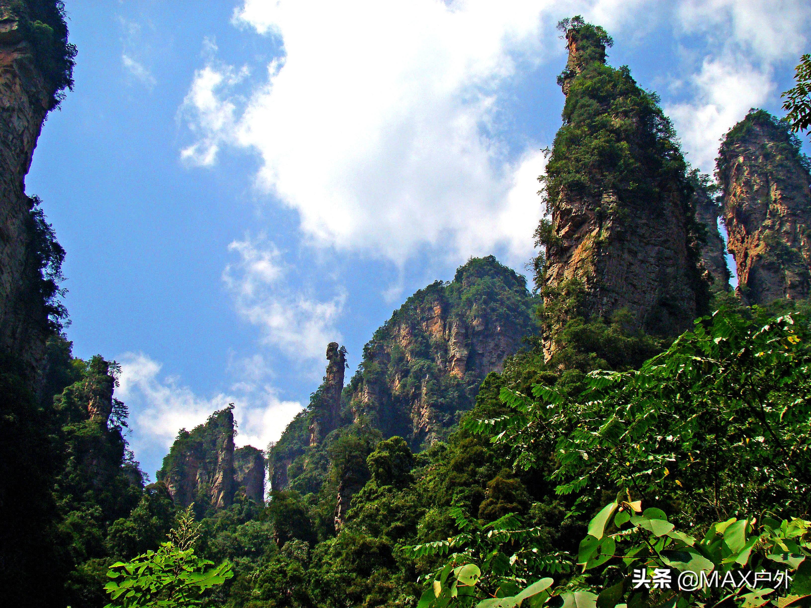 开启你的天然氧吧洗肺之旅,富氧洗肺好去处