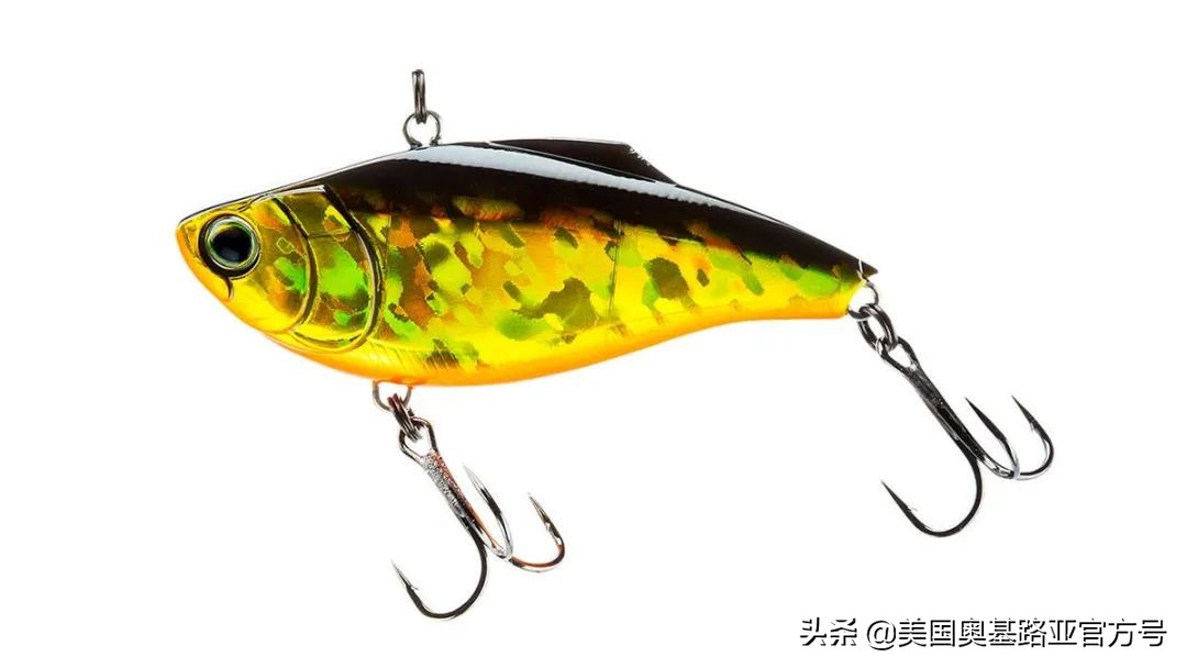 全国渔具展会2021时间表图片,2023国际渔具展会大全一览表