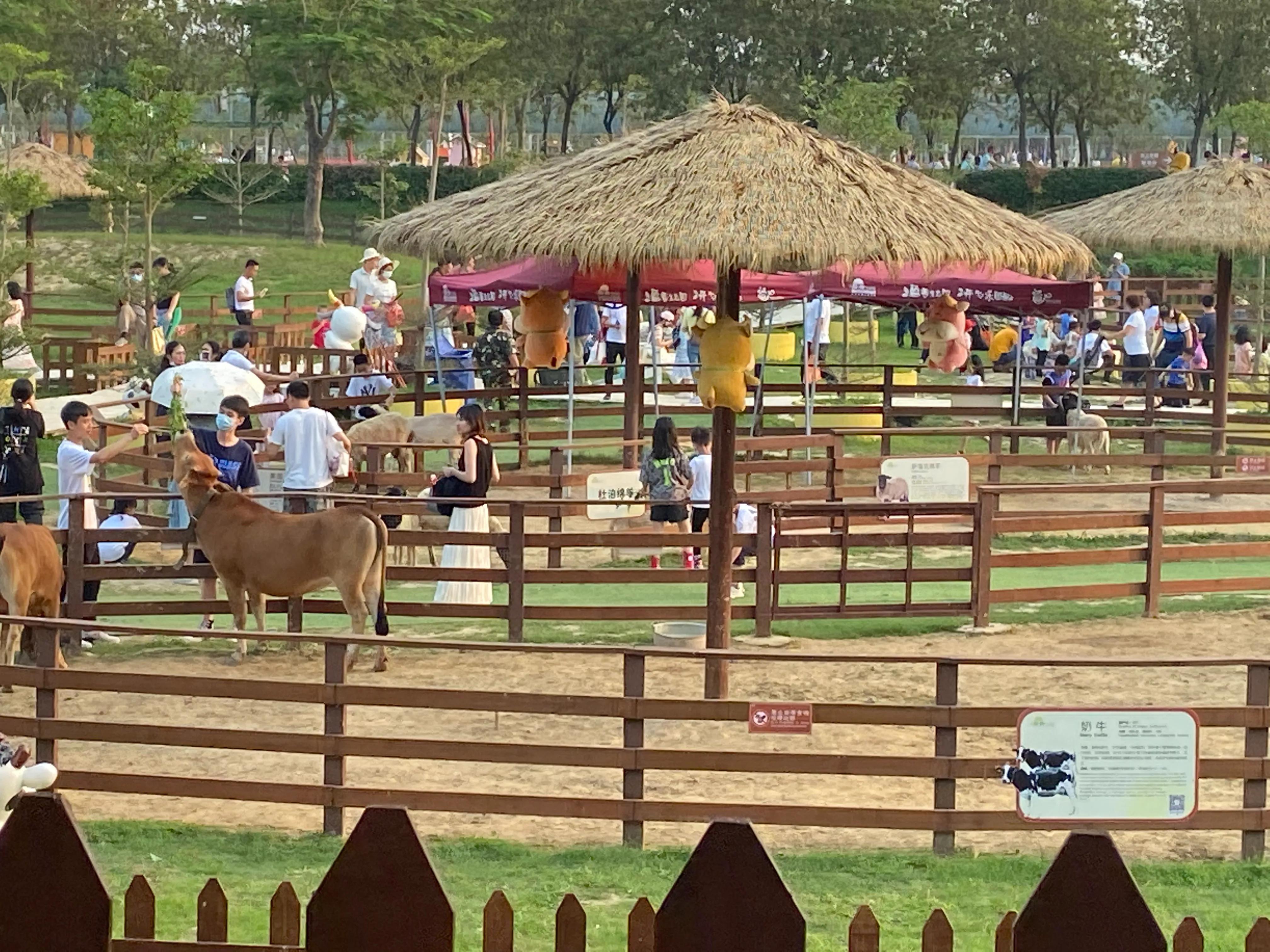佛山盈香生态园一天玩得完吗,佛山盈香生态园值得去吗