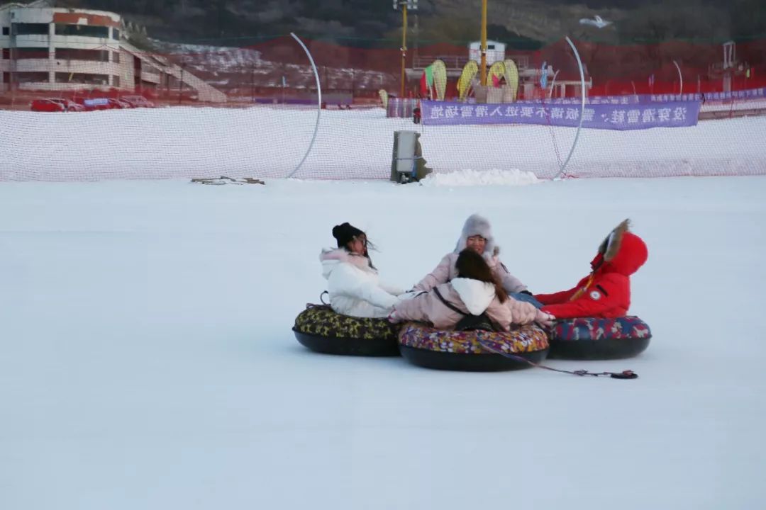 机票不到800元，第2次东北沈阳之旅，1个鸡架配老雪！