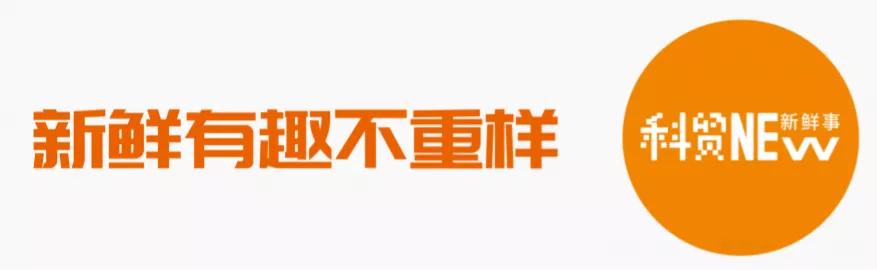 广东科贸职业学院一分钟了解,广东科贸职业学院清远校区校运会