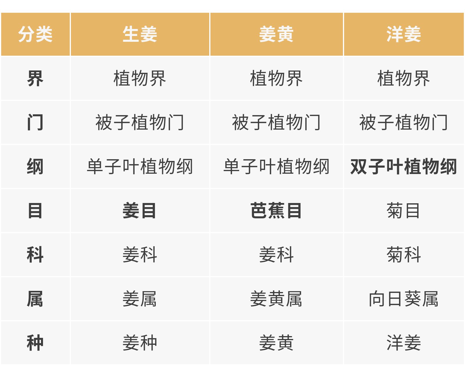 姜黄和洋姜是一种植物吗,洋姜和姜黄的区别