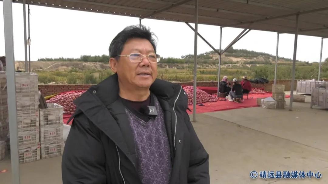 靖远三滩红富士苹果,靖远县红富士苹果啥时采摘